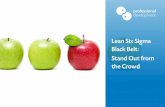 Lean Six Sigma Black Belt: Stand Out from the Crowd · Professional Development 3 What is a Black Belt? Lean Six Sigma Black Belt: Stand Out from the Crowd What is a Black Belt? Master