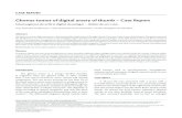 Glomus tumor of digital artery of thumb – Case Report · 322 J Vasc Bras 2012, Vol. 11, Nº 4 Glomus tumor - Guillaumon AT et al. to avoid the rupture of the capsule that contained