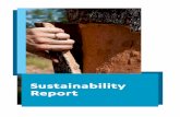 Sustainability Report - amorim.com · SUSTAINABILITY REPORT — 105 1 ABOUT THE SUSTAINABILITY REPORT Corticeira Amorim has regularly published a sustainability report since 2006
