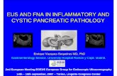 EUS AND FNA IN INFLAMMATORY AND CYSTIC PANCREATIC PATHOLOGYmafservizi.edinf.com/CMS/images/stories/EGEUS_2007_ppt/Sala500/... · EUS AND FNA IN INFLAMMATORY AND CYSTIC PANCREATIC