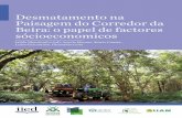 Desmatamento na Paisagem do Corredor da Beira: o papel de ...pubs.iied.org/pdfs/13601PIIED.pdf · 1 Desmatamento na Paisagem do Corredor da Beira: o papel de factores sócioeconomicos