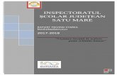 INSPECTORATUL ȘCOLAR JUDEȚEAN SATU MARE stare 2017-2018.pdf · preuniversitar în anul școlar 2017-2018, aprobată prin OMENCS nr. 5739/14.11.2016. Total posturi didactice prognozate