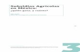 Subsidios Agrícolas en México - Wilson Center 3... · 3 73 Subsidios Agrícolas en México: ¿quién gana, y cuánto? John Scott1 Centro de Investigación y Docencia Económicas