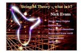 String/M Theory – what is it? Nick Evans · String/M Theory – what is it? Branes and brane world Holography The Landscape Nick Evans Strong Force Origins Superstrings Ten & eleven