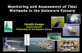 Monitoring and Assessment of Tidal Wetlands in the ... · Technical Needs 1. Contaminants (forms, sources, fates & effects for different classes) 2. Tidal Wetlands (status, trends