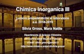 Chimica Inorganica III - chimica.unipd.it · -TGA-DSC (on 3 selected samples, PMMA and 2 hybrids) → comparison hybrid/PMMA. Silvia Gross - Chimica Inorganica III - Laurea Magistrale