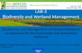 catianc@yfmt.br NEPA-IB UFMT - UF/IFAS OCI | Home C Nunes... · Ecological Pantanal Wetland Research Steps by NEPA/UFMT Researchers Background and Overview ofthe Institute Biological