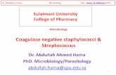 Coagulase negative staphylococci & Streptococcus · and Streptococcus mutans) are not bile-soluble and not inhibited by optochin—in contrast to S. pneumoniae, which is bile-soluble