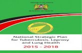 REPUBLIC OF KENYA MINISTRY OF HEALTH · MTB Mycobacterium Tuberculosis ... PPR Policy Planning and Research PT Proficiency Testing QA Quality Assurance QAS Quality Assurance System