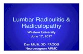 Lumbar Radiculitis & Radiculopathyws.westernu.edu/WesternU-News/alumni/CME-Day-PDFs-062017/Session... · treatment of lumbar radiculitis & radiculopathy ... Modic changes facets causing