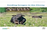 Feeding forages in the Fitzroy - FutureBeef · Feeding forages in the Fitzroy A guide to profitable beef production in the Fitzroy River catchment. CS3941 03/15 March 2015. ... Fisheries