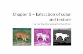 Chapter 5 Extraction of color and texture - Técnico Lisboa · Classificação (detecção de faces - III) CVI - Color extraction 21 . ... imaginárias XYZ Primary colors: R, G, B