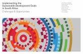 Nardos Bekele-Thomas Sustainable Development Goals the... · days of SDG roll-out countries that are often cited as good examples to emulate in mainstreaming the SDGs in their development