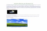 Noções Básicas de Windows XP - .Noções Básicas de Windows XP O Windows XP (o XP utilizado no