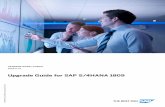Upgrade Guide for SAP S/4HANA 1809 · important documents and SAP Notes relevant for the upgrade in the section Documentation and SAP Notes for the Upgrade [page 5] The section Overview
