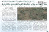 Novos registros ornitológicos para o centro-sul de Minas ... · quantidade de uma espécie de taquara não identificada, possivelmente do gênero ... Vista aérea da Serrinha, área