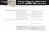 Year 2016 Experimental Pathology Vol. 8 N.er and Health ... parte1.pdf · Rodrigo Farinha, MSc, DMD, Coimbra, Portugal João A. B. Patrício, MD, PhD, Coimbra, Portugal ... Luís