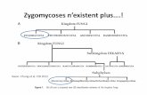 Epidemiologyand treatmentof mucormycosis · Epidemiologyand treatmentof mucormycosis Olivier Lortholary, M.D.; ... Petrikkos G et al. CID 2012; 54 (Suppl 1): ... 75 9 44 5 - 1 29