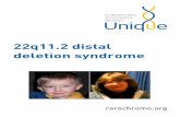 22q11.2 distal deletion syndrome - rarechromo.org 22/22q11.2... · premature and a further three were born in the 37th week (Ben-Shachar 2008; Rodningen 2008; Ogilvie 2009; Garavelli