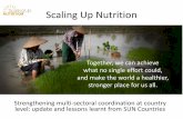 Scaling Up Nutrition (SUN) — PowerPoint - fao.org · Scaling Up Nutrition ... with strong in-country leadership & a shared space (multi-stakeholder platforms) ... academia, private