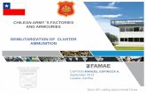 CHILEAN ARMY S FACTORIES AND ARMOURIES DEMILITARIZATION OF ... · FAMAE´s Technical capabilities • FAMAE has performed demilitarization of different calibres ammunition since 1979,