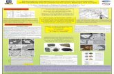 H:Site webPostersFontaine poster-Tervuren 2010 · Minerais Noirs C.M,N.) Third cu-co Orebody (lenses) Upper Cu-Co Orebody ... ("Roches Argilo-Talqueuses") Subgroup, Neoproterozoic