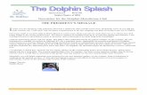 Newsletter for the Dolphin Motorhome Club THE …dolphinclub.com/uploads/2462/Dolphin_Splash_-_Newsletter_03_-_2012.pdf · Newsletter for the Dolphin Motorhome Club ... The recall
