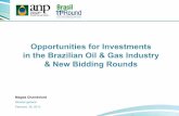 Opportunities for Investments in the Brazilian Oil & Gas ... · Opportunities for Investments . in the Brazilian Oil & Gas Industry & New Bidding Rounds. Magda Chambriard. Director