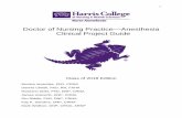 Doctor of Nursing Practice ... - harriscollege.tcu.edu · 5 “The final DNP project produces a tangible and deliverable academic product that is derived from the practice immersion