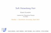 Soft Heisenberg Hair - quark.itp.tuwien.ac.atquark.itp.tuwien.ac.at/~grumil/pdf/nordita2017.pdf · Soft Heisenberg Hair Daniel Grumiller Institute for Theoretical Physics TU Wien