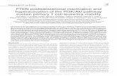 PTEN posttranslational inactivation and hyperactivation of ...dm5migu4zj3pb.cloudfront.net/manuscripts/34000/34616/JCI0834616.v2.pdf · 2Laboratório de Biologia Molecular, Centro