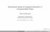 Numerical study of singular behavior in compressible flows · Numerical study of singular behavior in compressible ﬂows Pierre Gremaud Department of Mathematics North Carolina State