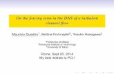 On the forcing term in the DNS of a turbulent channel flow · On the forcing term in the DNS of a turbulent channel ﬂow Maurizio Quadrio1, Bettina Frohnapfel2, Yosuke Hasegawa3