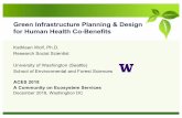 Green Infrastructure Planning & Design for Human Health Co ... health.KWolf... · Green Infrastructure Planning & Design for Human Health Co-Benefits Kathleen Wolf, Ph.D. Research