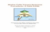 Sea Turtle Trauma Response Field Guide - WIDECAST · Limnologia, UNAM Mazatlán, México), Alonso Aguirre, DVM, PhD (Vice President for Conservation Medicine, Wildlife Trust), George