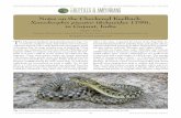 TABLE OF CONTENTS IRCF REPTILES & AMPHIBIANS • … · Xenochrophis piscator is known to mate in October, and females lay eggs from November to May, usually in a nest hole or in
