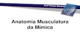 ANATOMIA MUSCULATURA DA MÍMICA - fonovim.com.br · •FRANK H. NETTER, MD - Netter Atlas de Anatomia Humana . Editora Elsevier. •GRAY, Donald J. Gray Anatomia. 37ª Ed.; Rio de