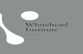 Whitehead Institute - wi.mit.eduwi.mit.edu/files/wi/pdf/887/2017whitehead-ar-pages.pdf · 3 Envisioning the Future Whitehead Institute is one of the world’s premier independent