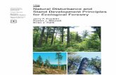 United States Natural Disturbance and Stand Development ... · Natural Disturbance and Stand Development Principles ... Incorporating an understanding of natural disturbance and stand