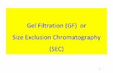 Gel Filtration (GF) or Size Exclusion Chromatography (SEC) 2015/1E SEC... · 3 What is gel filtration?