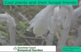 Cool plants and their fungal friends - Coast Botanical Gardencoastbotanicalgarden.org/wp-content/uploads/2017/03/sunshine-coast... · extracellularly as in ectomycorrhizal fungi.