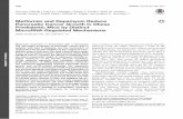 Metformin and Rapamycin Reduce Pancreatic Cancer Growth in ...diabetes.diabetesjournals.org/content/diabetes/64/5/1632.full.pdf · Vincenza Cifarelli,1 Laura M. Lashinger,2 Kaylyn