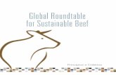Global Roundtable for Sustainable Beef Template Graphics/grsb... · de toda a cadeia e todas as regiões de produção e ... A cadeia global de valor da carne ... práticas de gestão