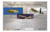 Aquatic Animal Life of the St. Joseph River (Maumee ... · itself along with its muscular foot. Peter J. Badra This guide focuses on freshwater pearly mussels (Unionidae, Figure 1);