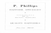 DAFFODIL SPECIALIST - DaffLibrarydafflibrary.org/wp-content/uploads/P.-Phillips-1964-65.pdf · P. Phillips DAFFODIL SPECIALIST OTOROHAN GA BOX 177 Bulb Nursery : Rangiatea Road QUALITY