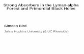 Strong Absorbers in the Lyman-alpha Forest and Primordial Black …cosmology.lbl.gov/talks/SBird_17.pdf · Strong Absorbers in the Lyman-alpha Forest and Primordial Black Holes. Talk