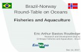 Brazil-Norway Round-Table on Oceans - funag.gov.br · Traíra (Hoplias malabaricus) Piabanha (Other Brycon sp.) Peacock bass (Cichla ocellaris) 28 species and 8 hybrids (≈5 exotics
