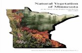 Natural Vegetation of Minnesota At the Time of the Public ...files.dnr.state.mn.us/eco/mcbs/natural_vegetation_of_mn.pdf · Interest in protecting these natura environments as part