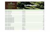 CATÀLEG - MASJOANmasjoan.com/CATALEG2017.pdf · tuia aurea nana 40/50 30 bambu aurea c15 litros consultar buxus 40x40 20 buxus 70x40 30 buxus 100x40 35 buxus 150/200 180 cedrus atlantica