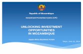 UNLOCKING INVESTMENT OPPORTUNITIES IN …. Mozambique_Mr... · Main Imported Products: Vehicles, Motorcycles, Trailers and semi-trailers, Cement, Tractors, Wheat, Rice, Machinery
